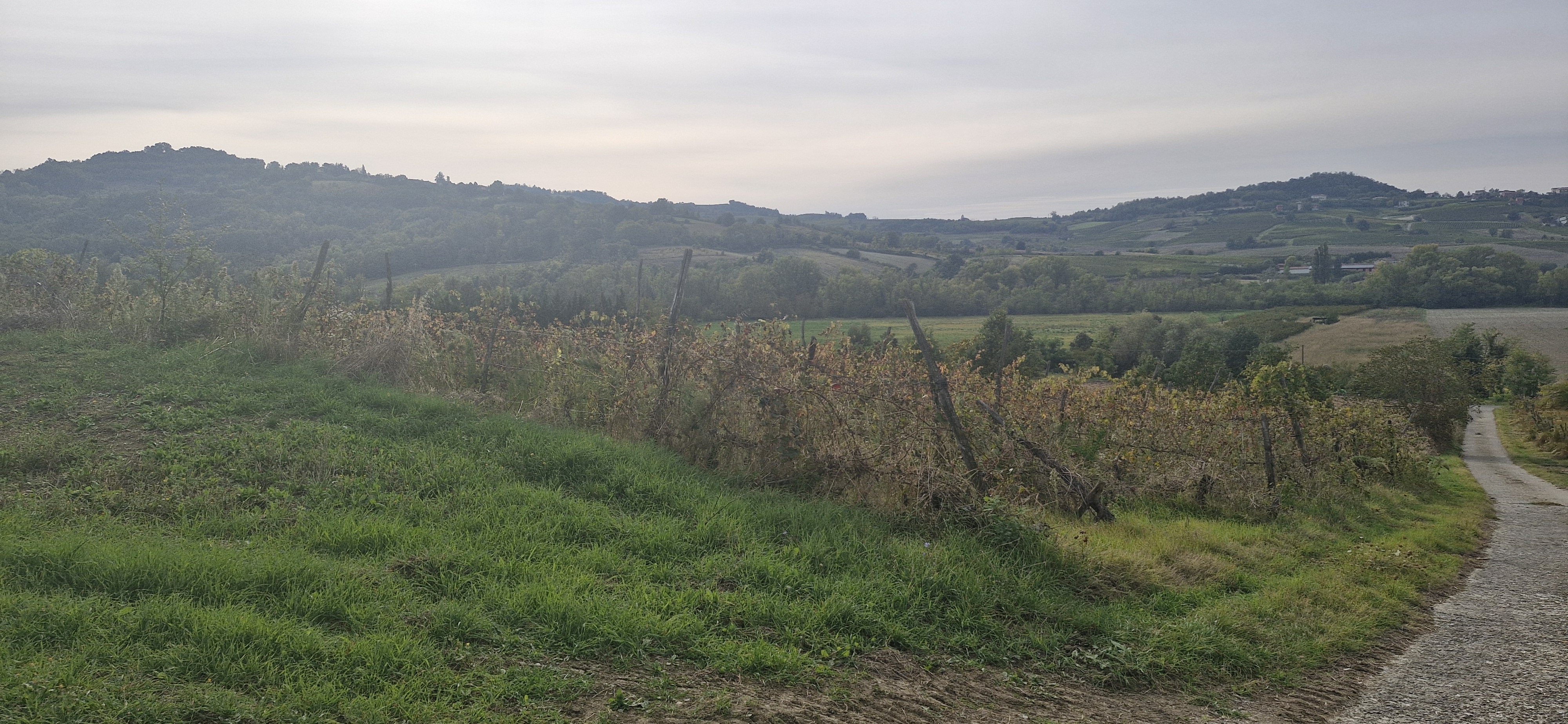 „Jesteśmy starzy, ale nie głupi”. Smog to też problem południa Europy