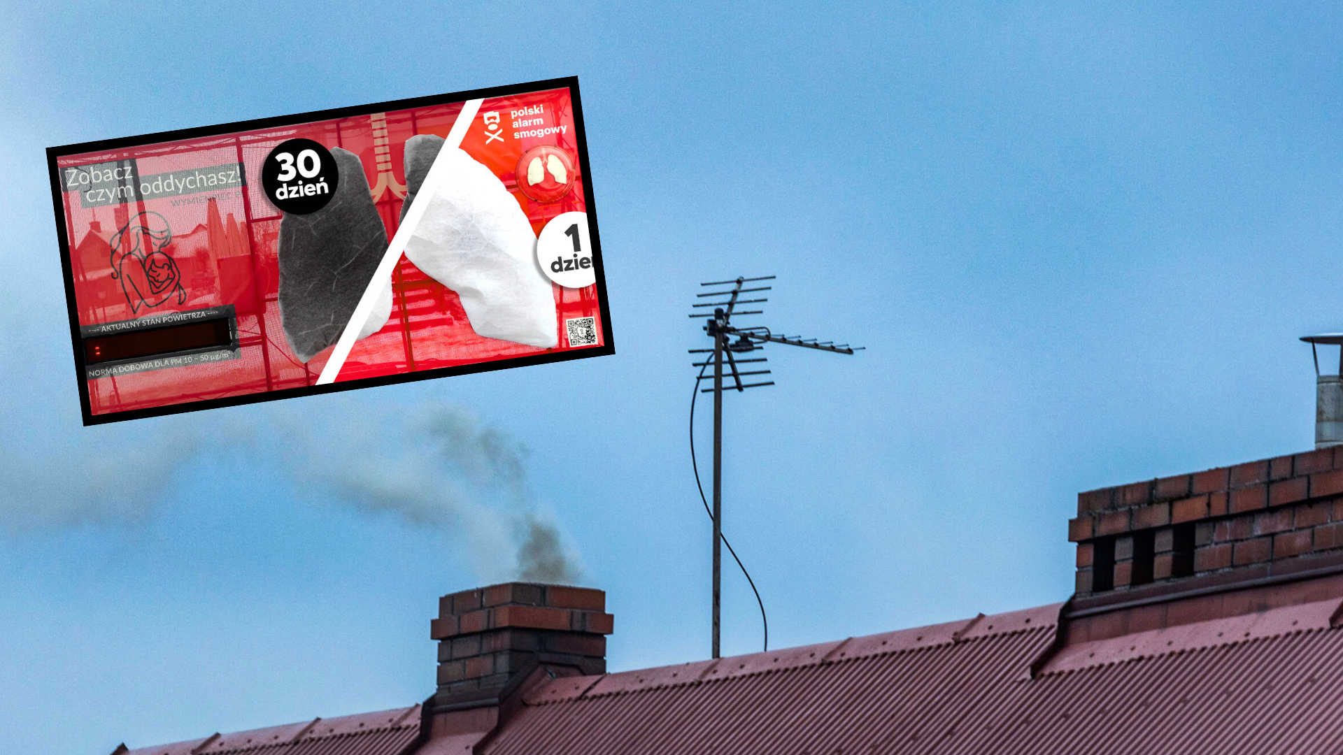 „Przyjeżdżają białe, a wyjeżdżają grafitowe”. Płuca jeżdżą po Polsce