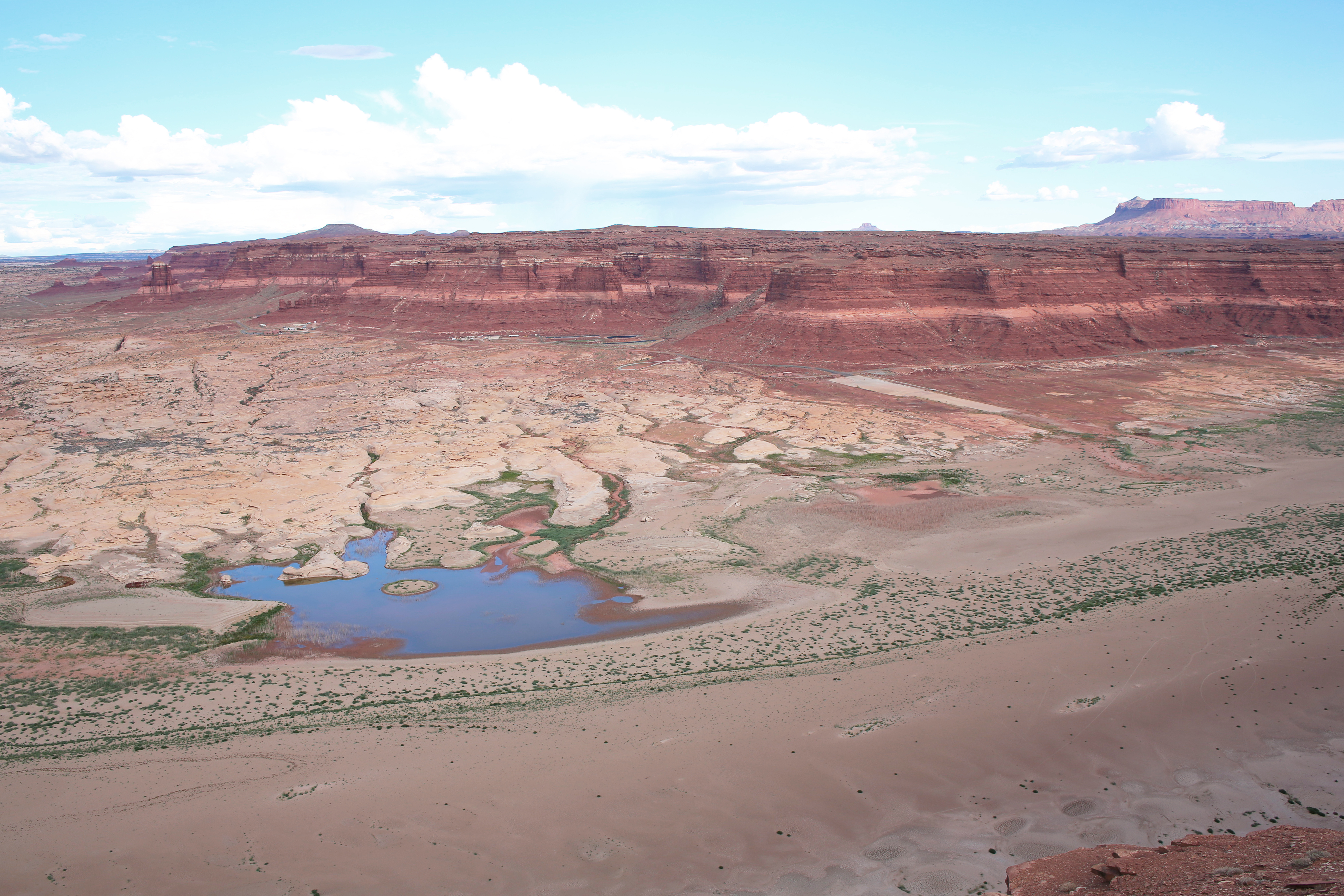 Efekt domina. Decyzje Trumpa podniosą ceny żywności w Europie?