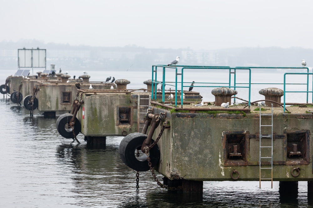 Polska i Niemcy łączą siły w regionie Bałtyku. Chodzi o zdrowsze powietrze