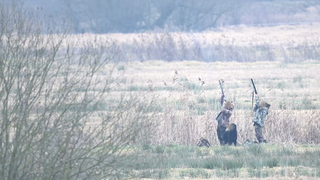 MKiŚ: Koniec rzezi ptaków tuż za granicą Parku Narodowego „Ujście Warty”