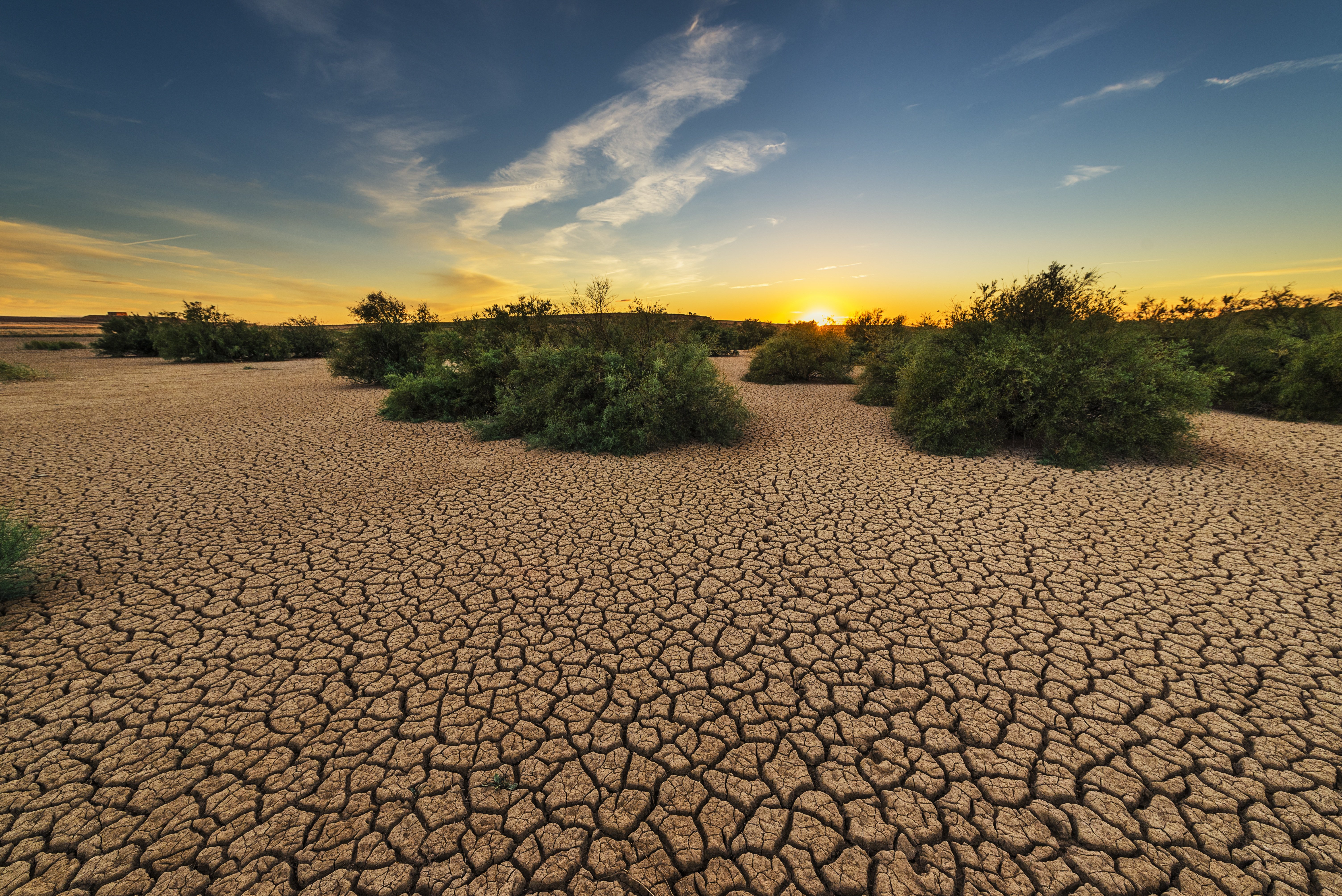 Globalne temperatury blisko rekordu. Eksperci ostrzegają: to dopiero początek