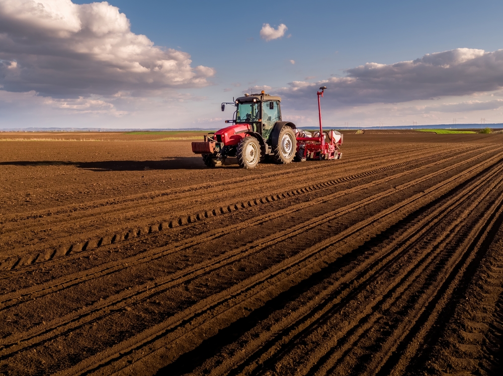wojna w iranie a żywność